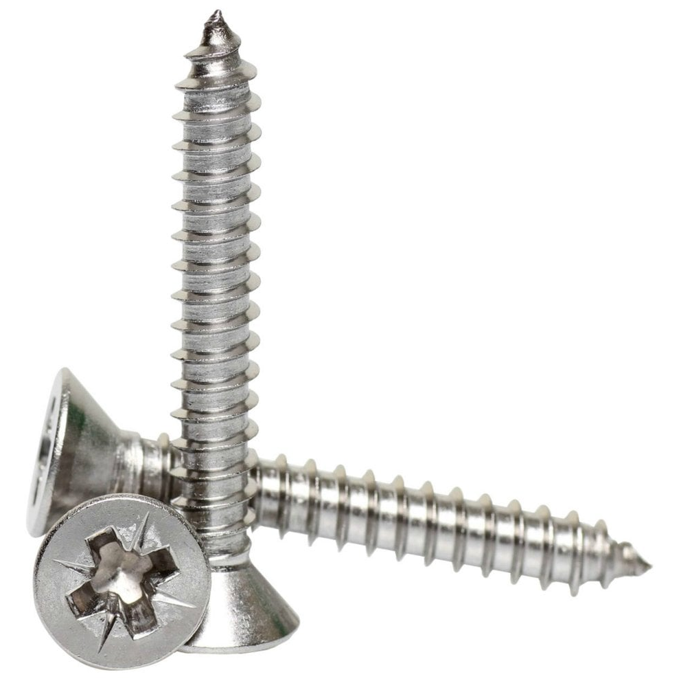 SELF TAPPING SCREW CSK PZ SS316 10G X 1 